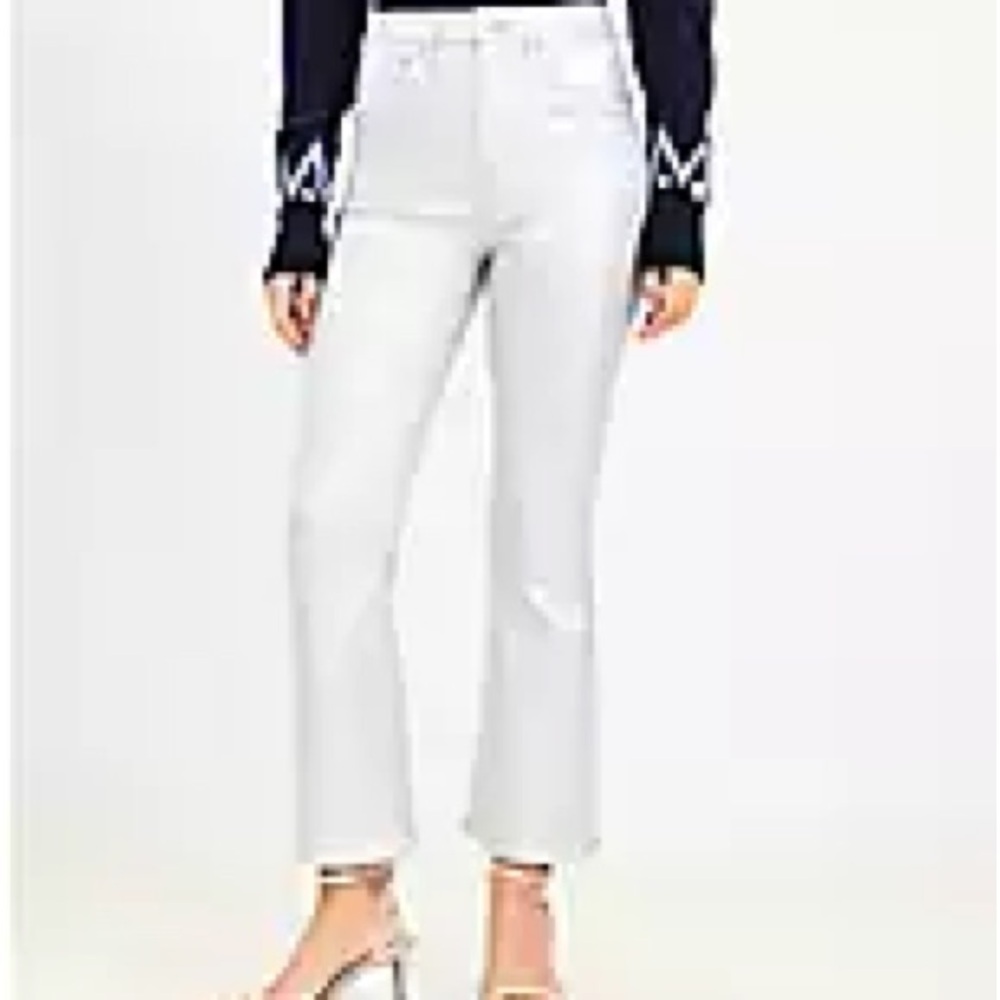 Loft metallic crop pants
